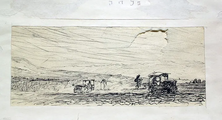 רישומים – יצירה 63