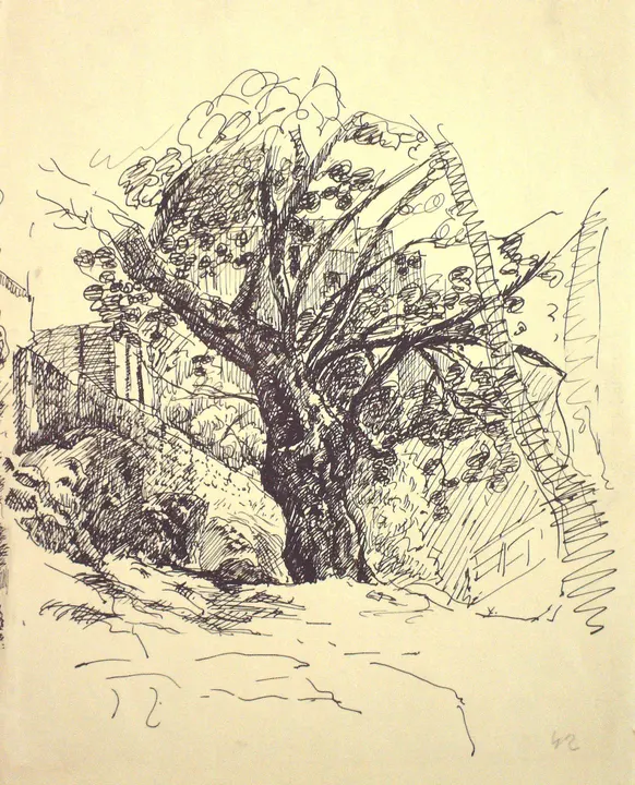 רישומים – יצירה 32
